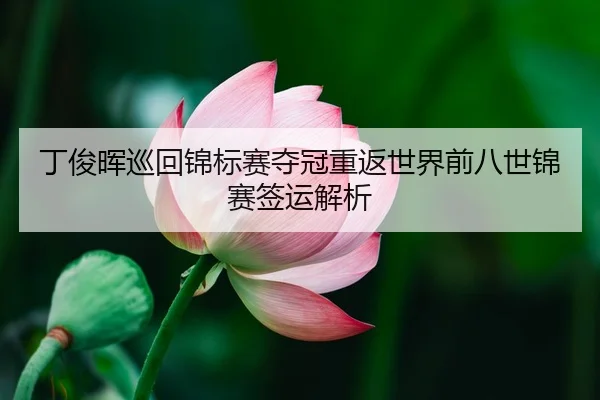 ding-jun-hui-xun-hui-jin-biao-sai-duo-guan-chong-fan-shi-jie-qian-ba-shi-jin-sai-qian-yun-jie-xi-2-122.jpg